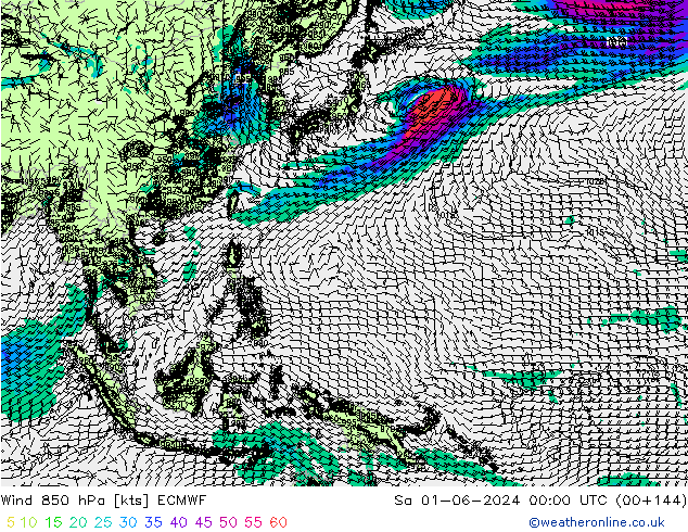 Wind 850 hPa ECMWF za 01.06.2024 00 UTC