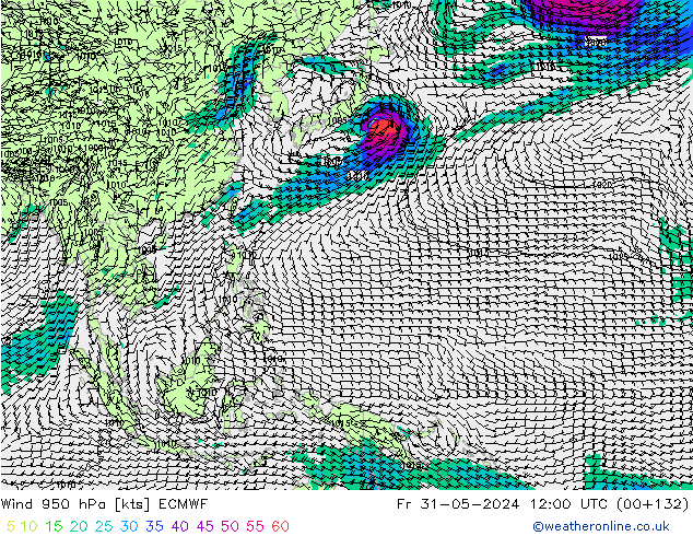 Wind 950 hPa ECMWF vr 31.05.2024 12 UTC