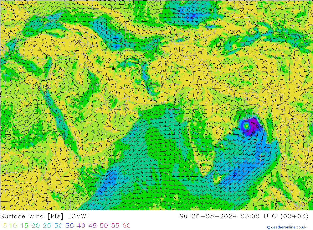 Surface wind ECMWF Su 26.05.2024 03 UTC