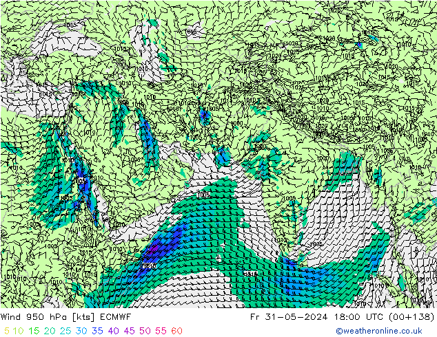 Wind 950 hPa ECMWF Pá 31.05.2024 18 UTC