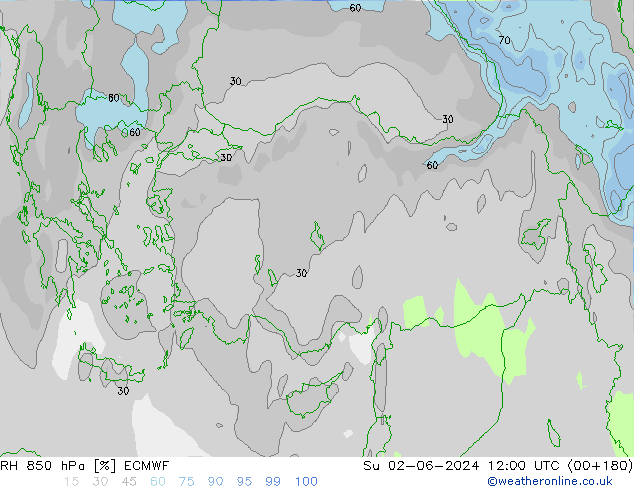 RH 850 гПа ECMWF Вс 02.06.2024 12 UTC