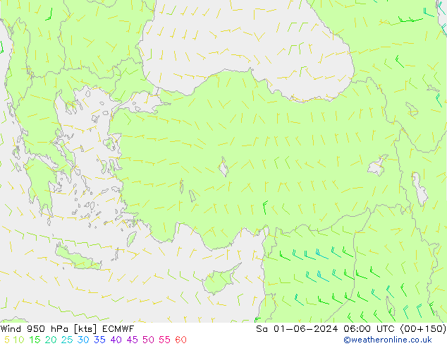 Rüzgar 950 hPa ECMWF Cts 01.06.2024 06 UTC