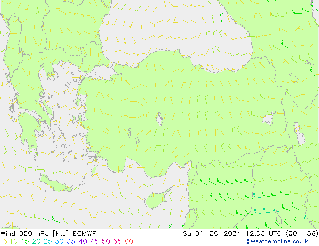 Wind 950 hPa ECMWF Sa 01.06.2024 12 UTC