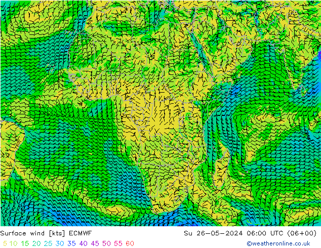 Surface wind ECMWF Su 26.05.2024 06 UTC
