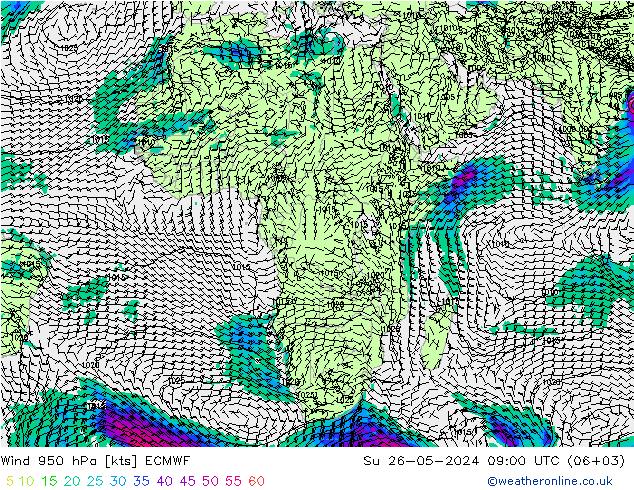  Paz 26.05.2024 09 UTC