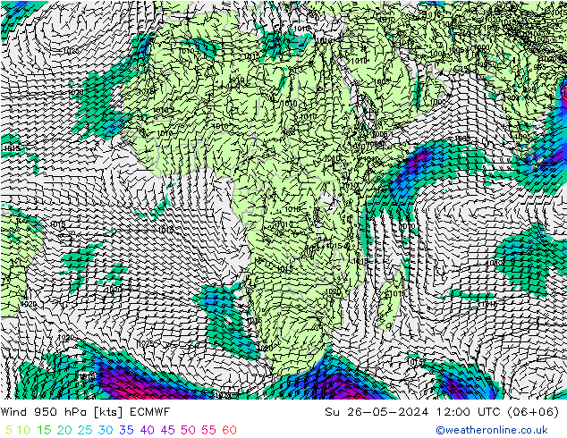  Paz 26.05.2024 12 UTC