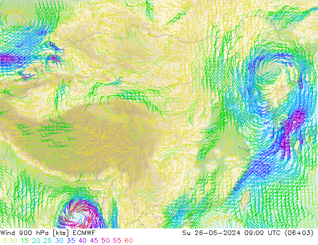 风 900 hPa ECMWF 星期日 26.05.2024 09 UTC