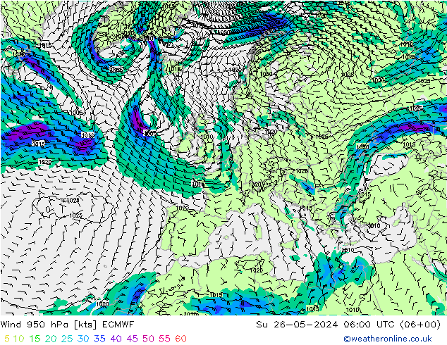 Wind 950 hPa ECMWF Ne 26.05.2024 06 UTC