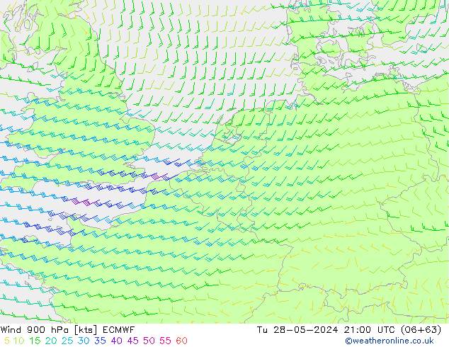 ветер 900 гПа ECMWF вт 28.05.2024 21 UTC