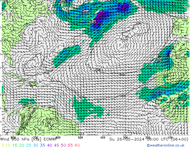 Wind 950 hPa ECMWF zo 26.05.2024 06 UTC