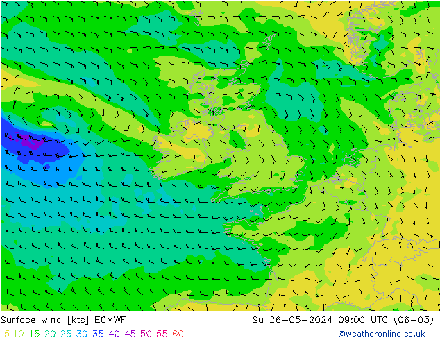 ветер 10 m ECMWF Вс 26.05.2024 09 UTC