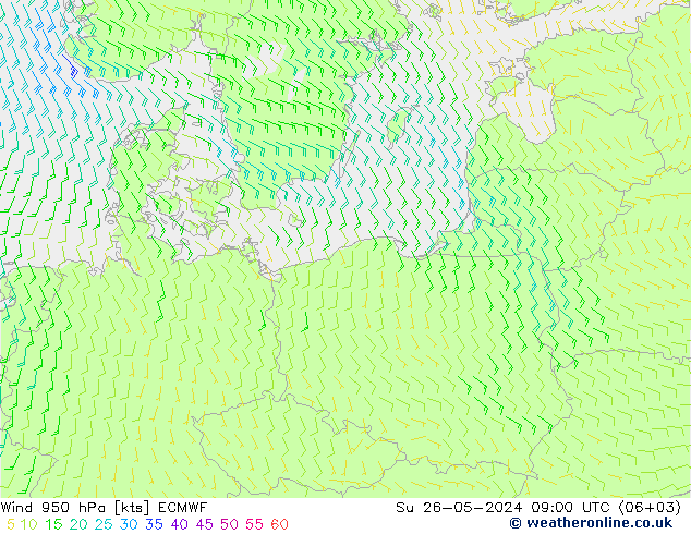 wiatr 950 hPa ECMWF nie. 26.05.2024 09 UTC