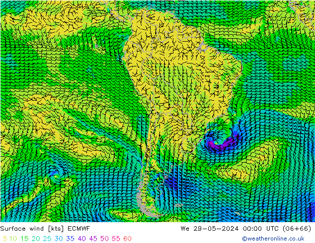 Surface wind ECMWF We 29.05.2024 00 UTC