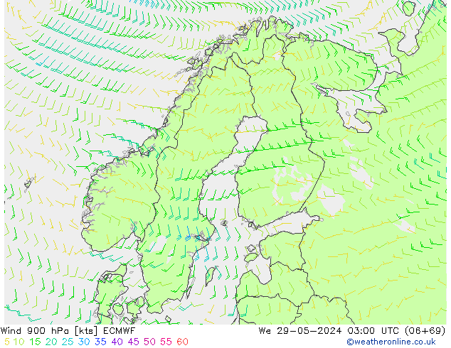 Wind 900 hPa ECMWF We 29.05.2024 03 UTC