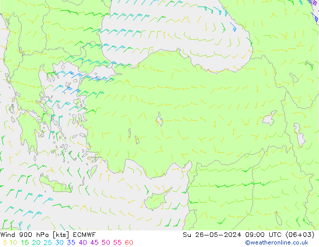 Wind 900 hPa ECMWF Su 26.05.2024 09 UTC