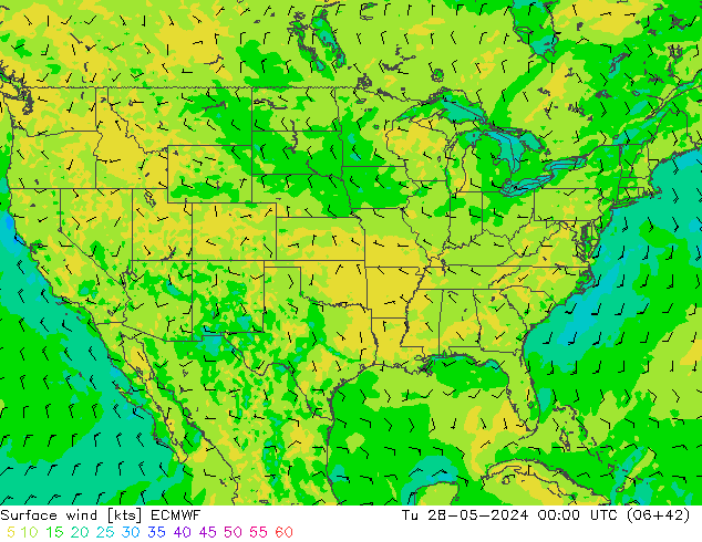 ветер 10 m ECMWF вт 28.05.2024 00 UTC