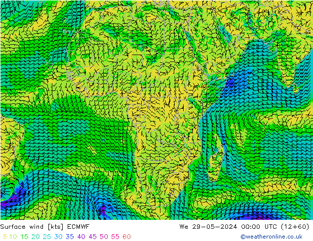 Surface wind ECMWF We 29.05.2024 00 UTC