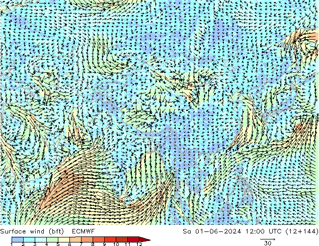 Viento 10 m (bft) ECMWF sáb 01.06.2024 12 UTC