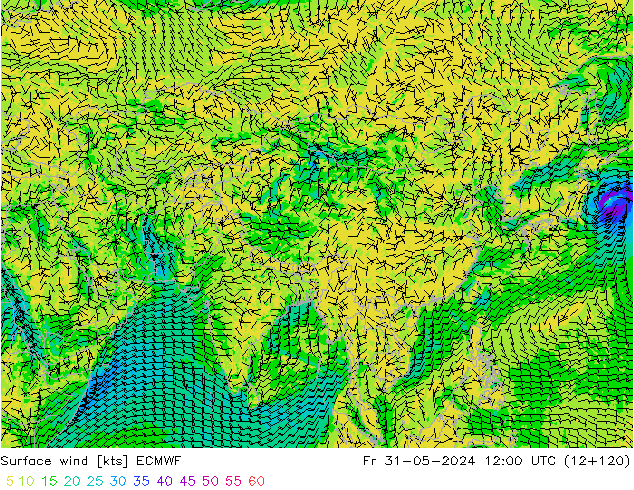 Surface wind ECMWF Fr 31.05.2024 12 UTC