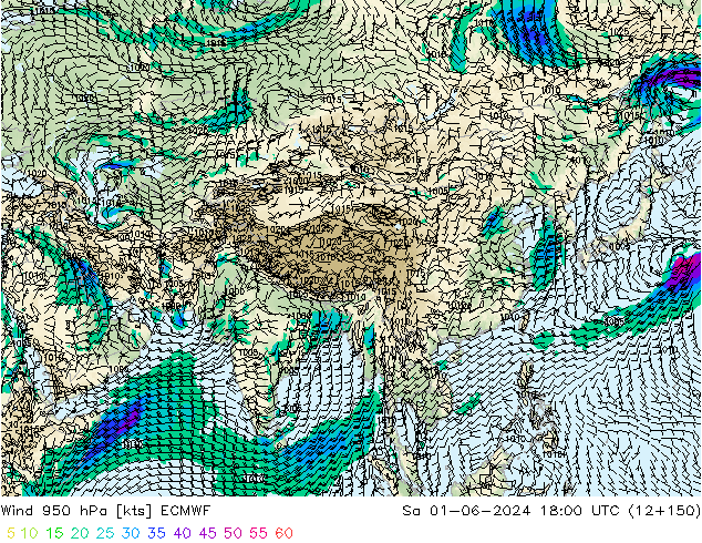  950 hPa ECMWF  01.06.2024 18 UTC