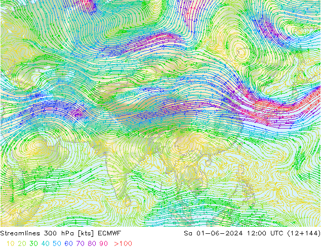 Streamlines 300 hPa ECMWF Sa 01.06.2024 12 UTC