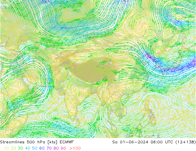 ветер 500 гПа ECMWF сб 01.06.2024 06 UTC
