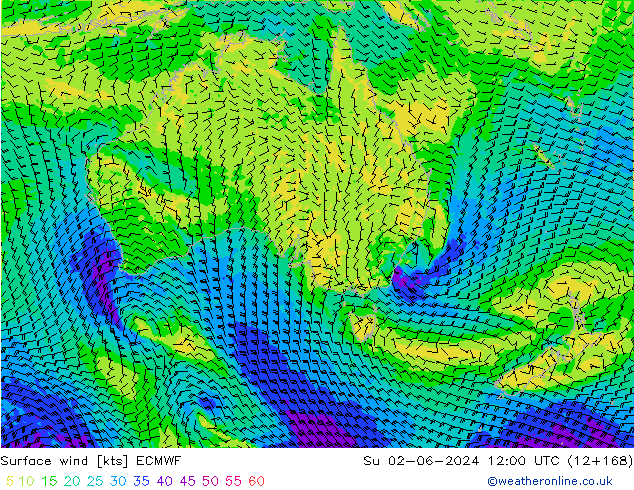 Surface wind ECMWF Su 02.06.2024 12 UTC