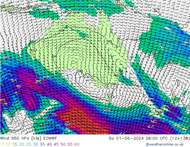 Wind 950 hPa ECMWF Sa 01.06.2024 06 UTC