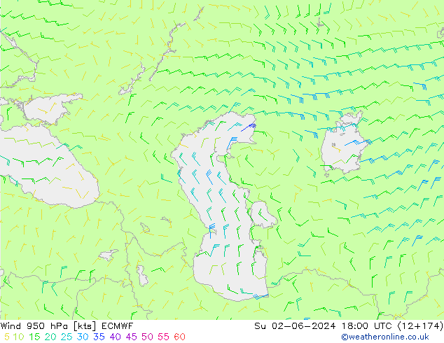 Vento 950 hPa ECMWF Dom 02.06.2024 18 UTC