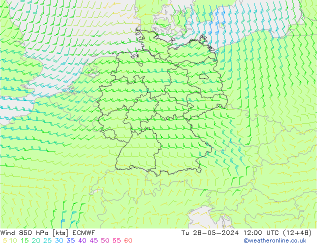 Vento 850 hPa ECMWF Ter 28.05.2024 12 UTC