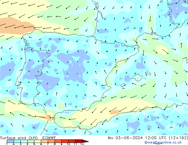 Vento 10 m (bft) ECMWF lun 03.06.2024 12 UTC