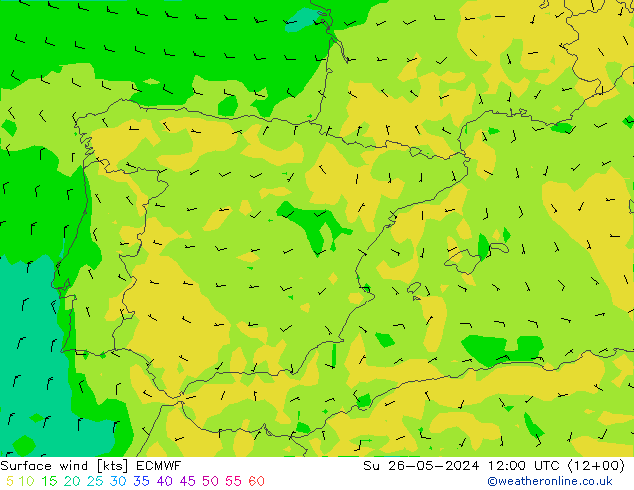 Surface wind ECMWF Su 26.05.2024 12 UTC