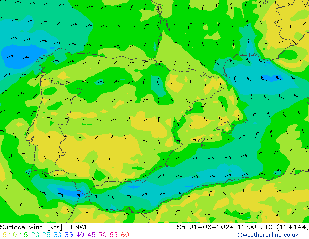 Rüzgar 10 m ECMWF Cts 01.06.2024 12 UTC