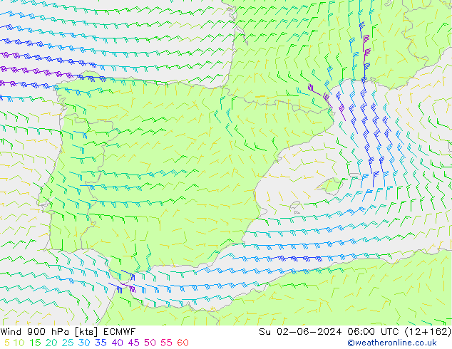 Vento 900 hPa ECMWF Dom 02.06.2024 06 UTC