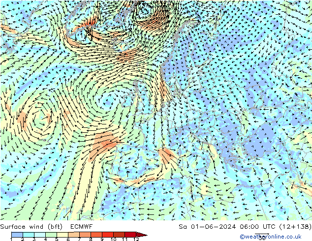 Surface wind (bft) ECMWF Sa 01.06.2024 06 UTC