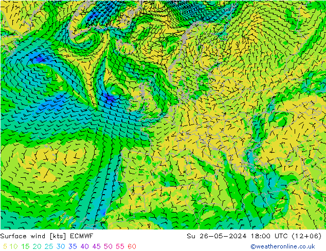 Surface wind ECMWF Su 26.05.2024 18 UTC