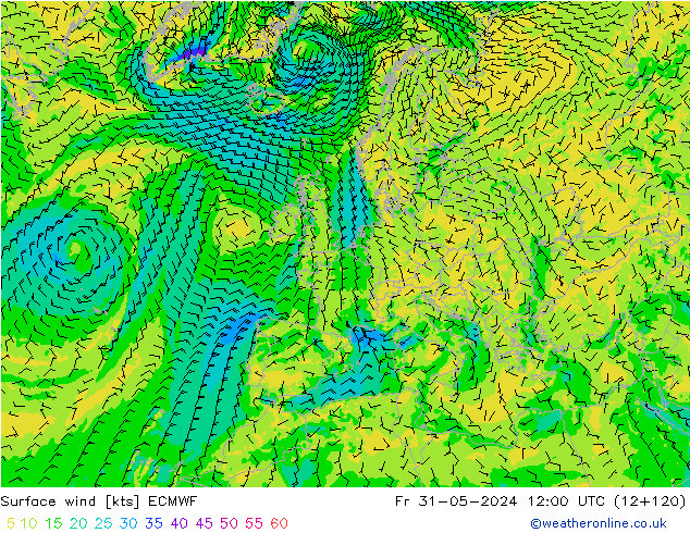 Vent 10 m ECMWF ven 31.05.2024 12 UTC