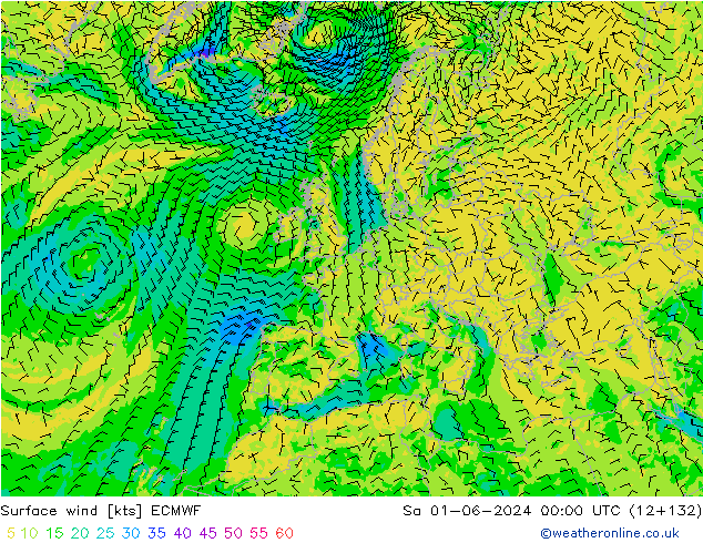 Viento 10 m ECMWF sáb 01.06.2024 00 UTC