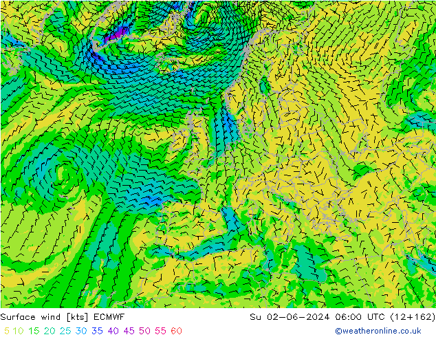 Surface wind ECMWF Su 02.06.2024 06 UTC