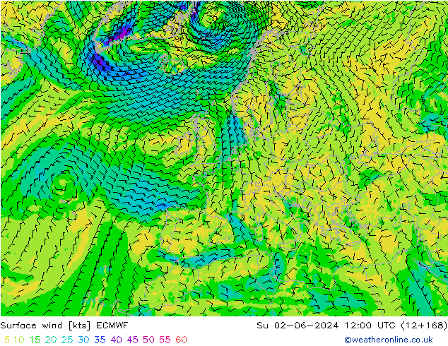 Rüzgar 10 m ECMWF Paz 02.06.2024 12 UTC