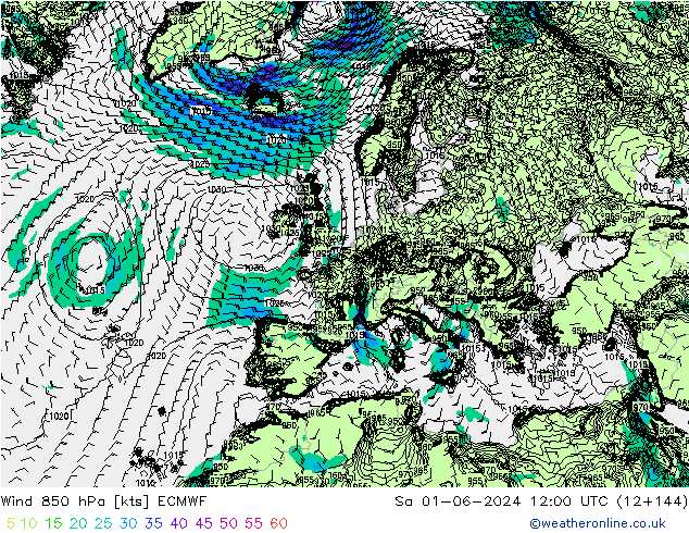 Vent 850 hPa ECMWF sam 01.06.2024 12 UTC