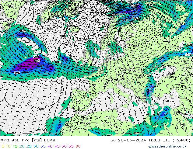  950 hPa ECMWF  26.05.2024 18 UTC