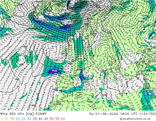 Wind 950 hPa ECMWF Sa 01.06.2024 18 UTC