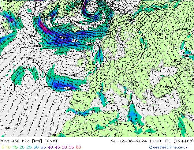 wiatr 950 hPa ECMWF nie. 02.06.2024 12 UTC