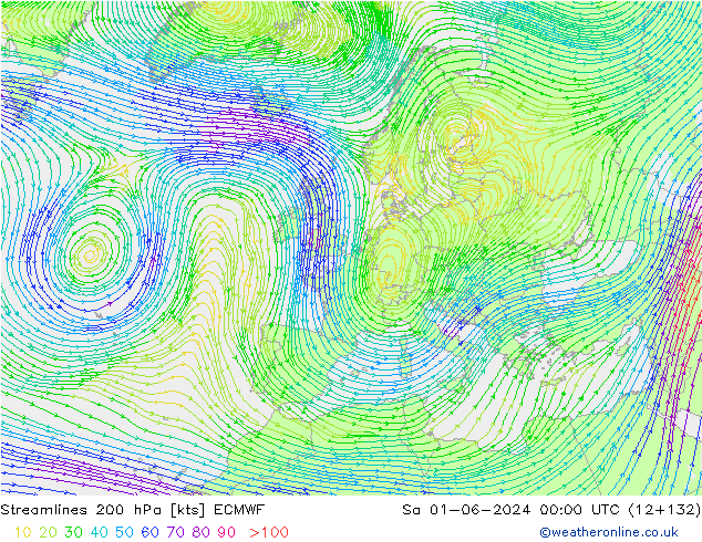Linea di flusso 200 hPa ECMWF sab 01.06.2024 00 UTC
