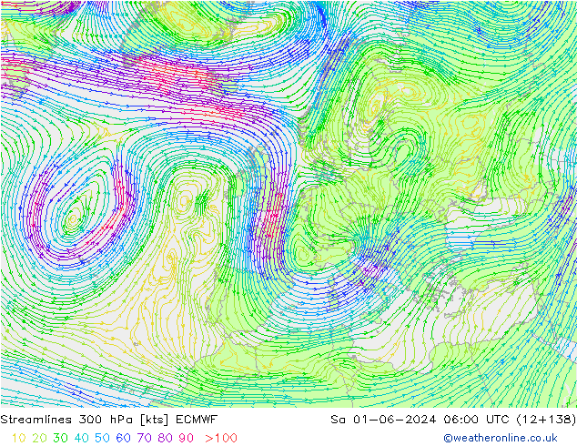 Linea di flusso 300 hPa ECMWF sab 01.06.2024 06 UTC