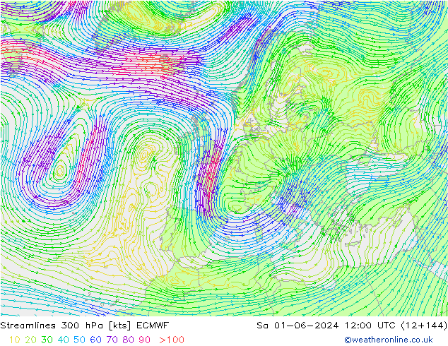 Streamlines 300 hPa ECMWF Sa 01.06.2024 12 UTC