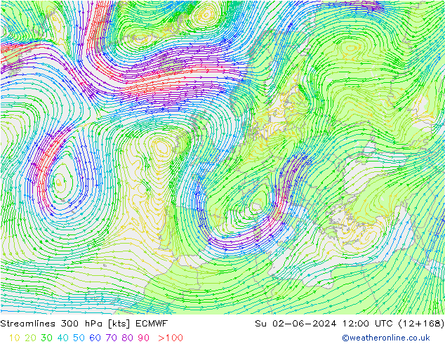 Rüzgar 300 hPa ECMWF Paz 02.06.2024 12 UTC