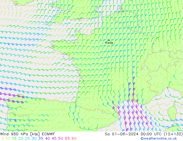 Wind 950 hPa ECMWF Sa 01.06.2024 00 UTC