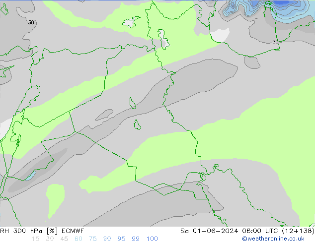 RH 300 hPa ECMWF  01.06.2024 06 UTC